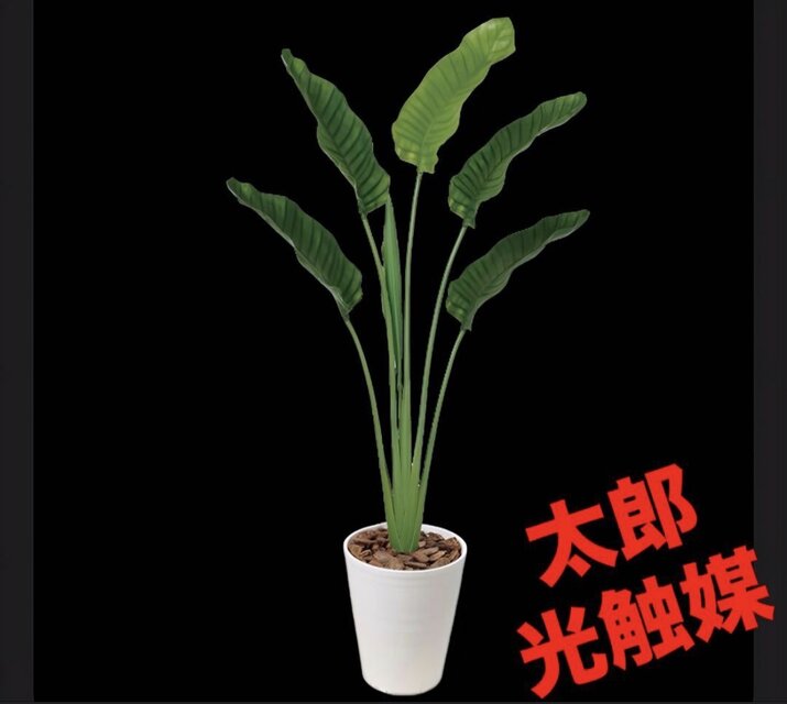 光触媒 人工観葉植物 ウォールグリーン フェイクグリーン トラベラーズ