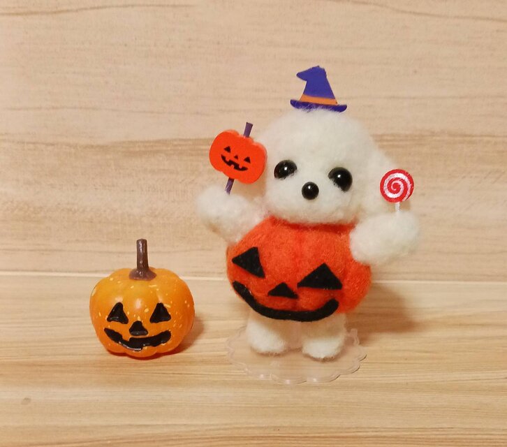 羊毛フェルト ハロウィン かぼちゃコスプレのマルチーズ・トイプードル