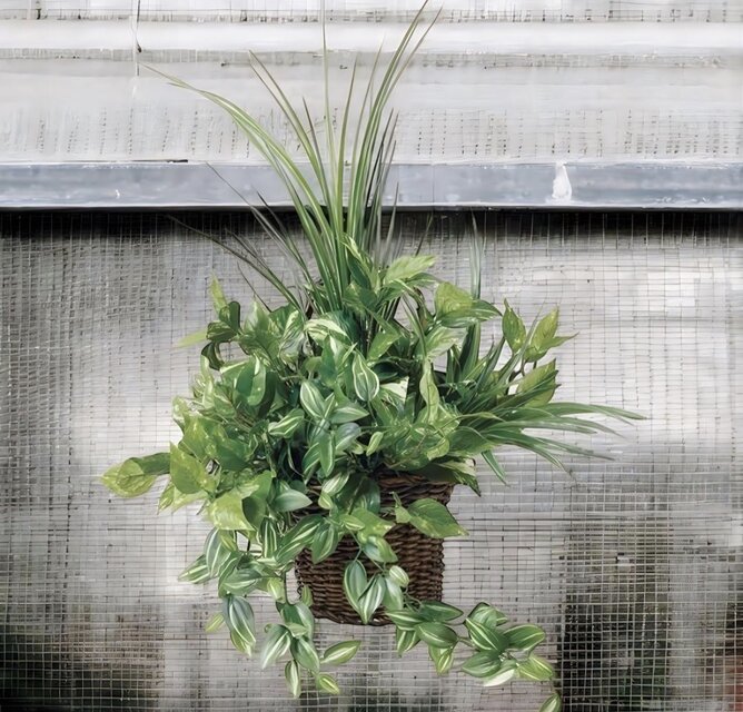 光触媒　人工観葉植物　ウォールグリーン　フェイクグリーン　壁掛ナチュラルグラス 光触媒 人工観葉植物 ウォールグリーン フェイクグリーン 壁掛