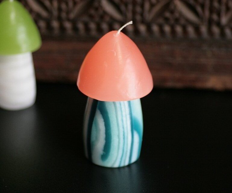 夏のきのこ　（サーモン）