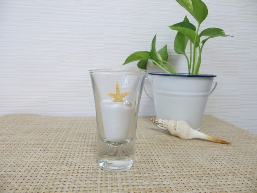 ガラスの中のミニヒトデとサンゴ砂