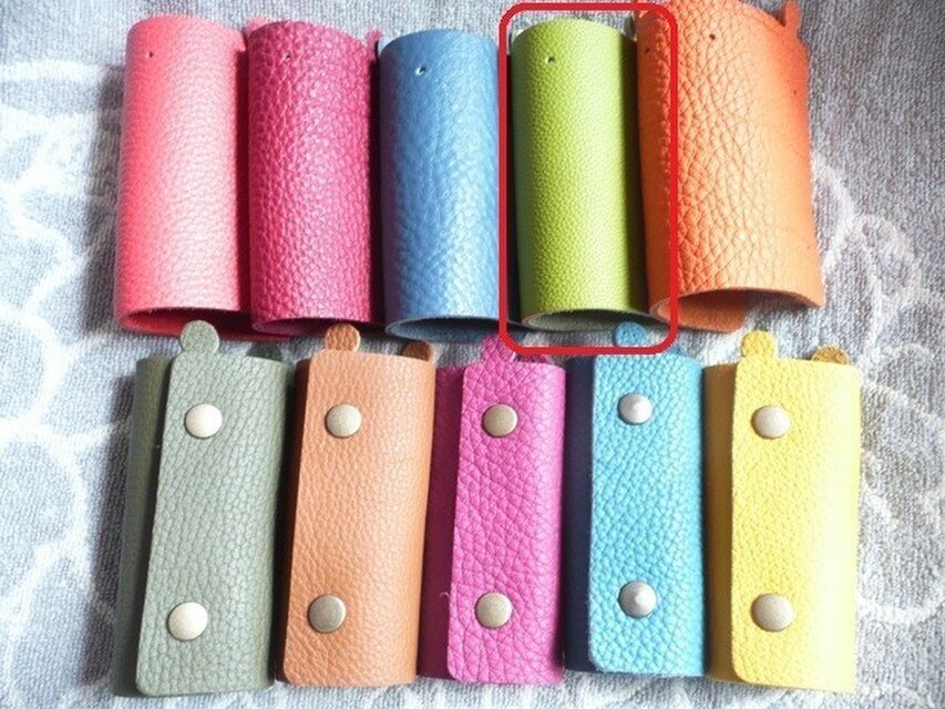 ちょっと突き出た革キーケース（トリヨン・アップルグリーン）new