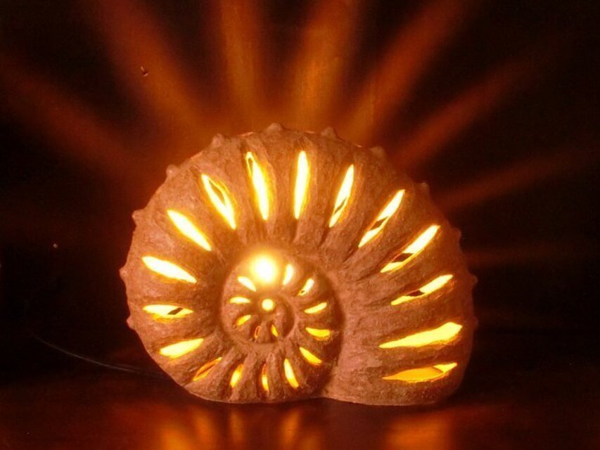 アンモナイトライト