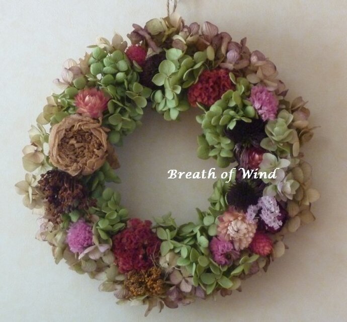 2色の紫陽花とケイトウのリース