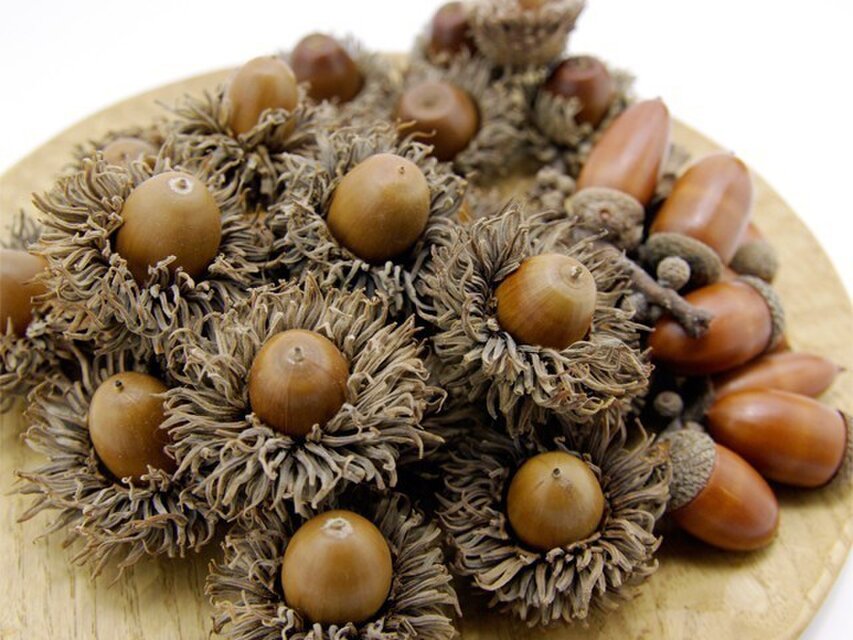 オーダードングリのアソート