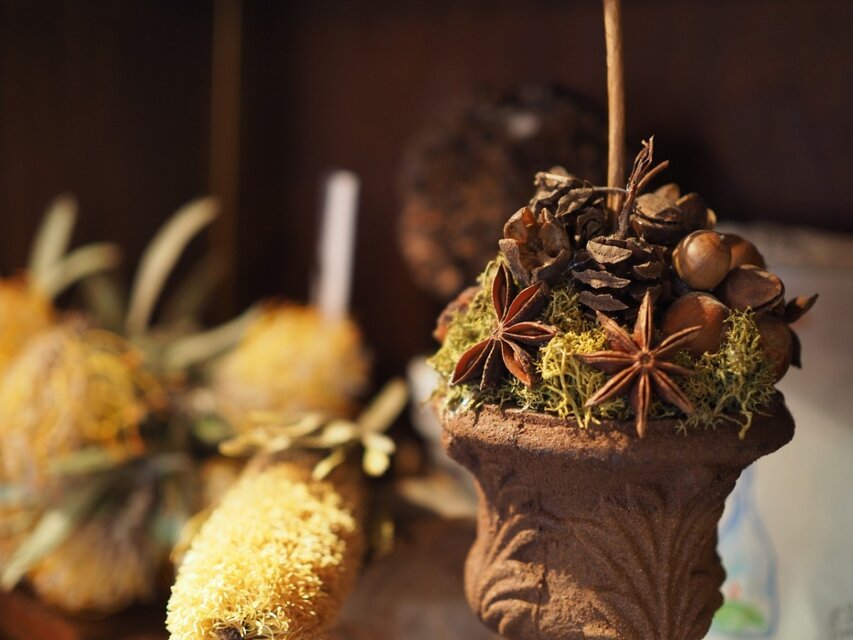 木の実のトピアリー ブラウン | iichi 日々の暮らしを心地よくする