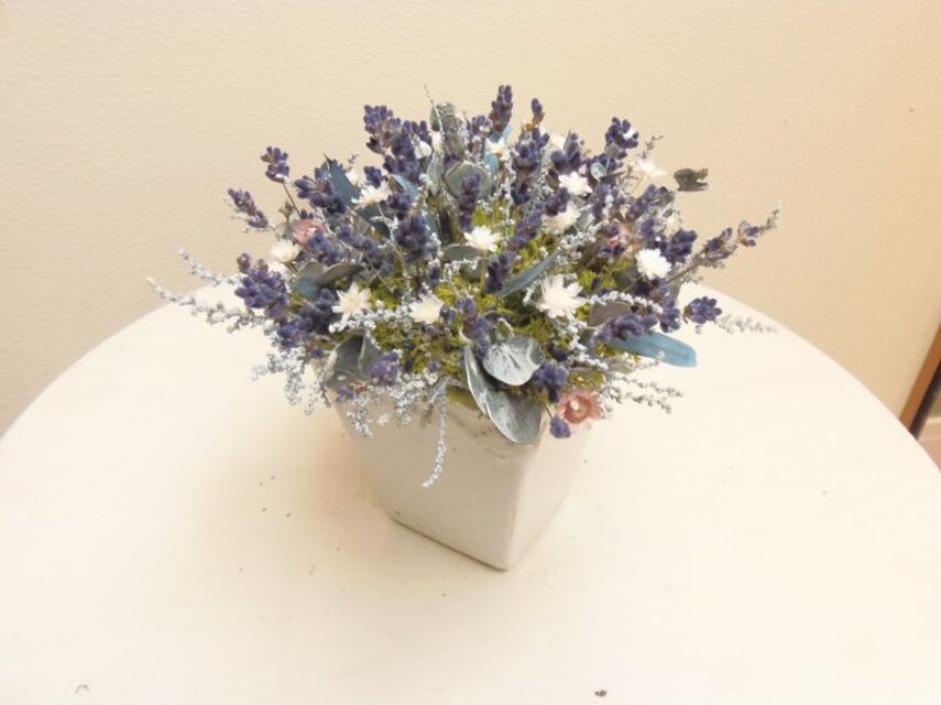 北の国からーラベンダーのお花畑ー