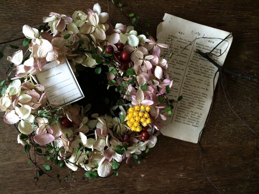 紫陽花クルミリース Beautiful Boy 紫陽花 リース プリザーブドフラワー プレゼント ギフト