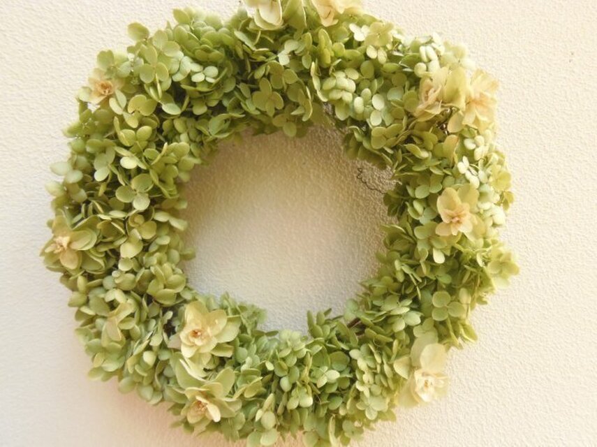 アナベルのライムグリーンの世界