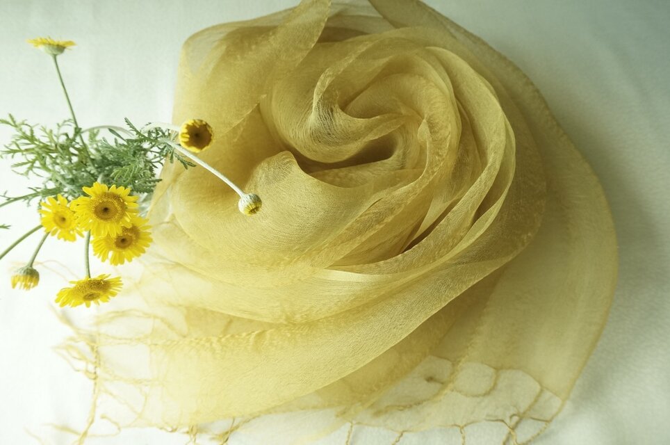 ダイヤーズカモミール染めシルクオーガンジー大判ストール（Ｃ）