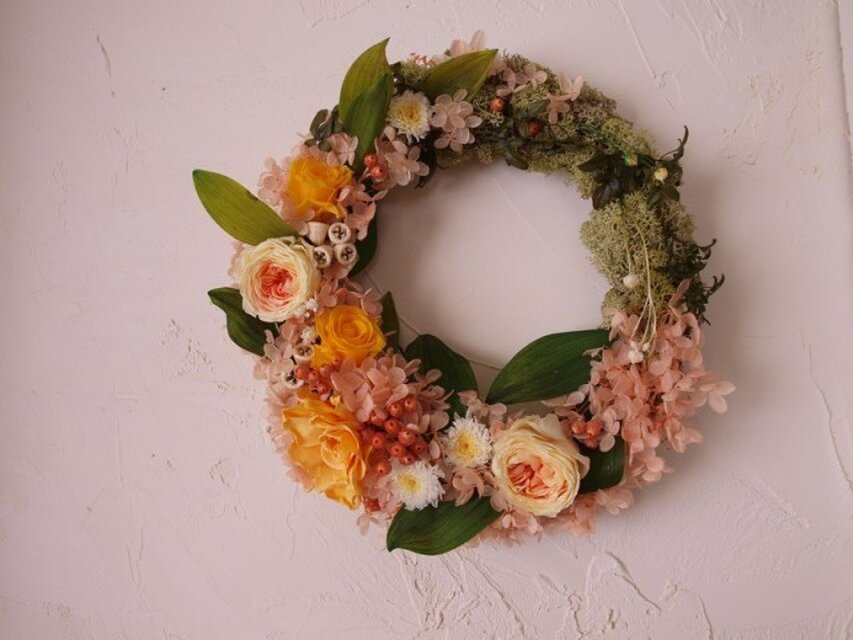 ビタミンオレンジのリース