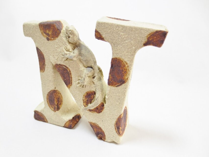 アルファベット　－N（イモリ）－