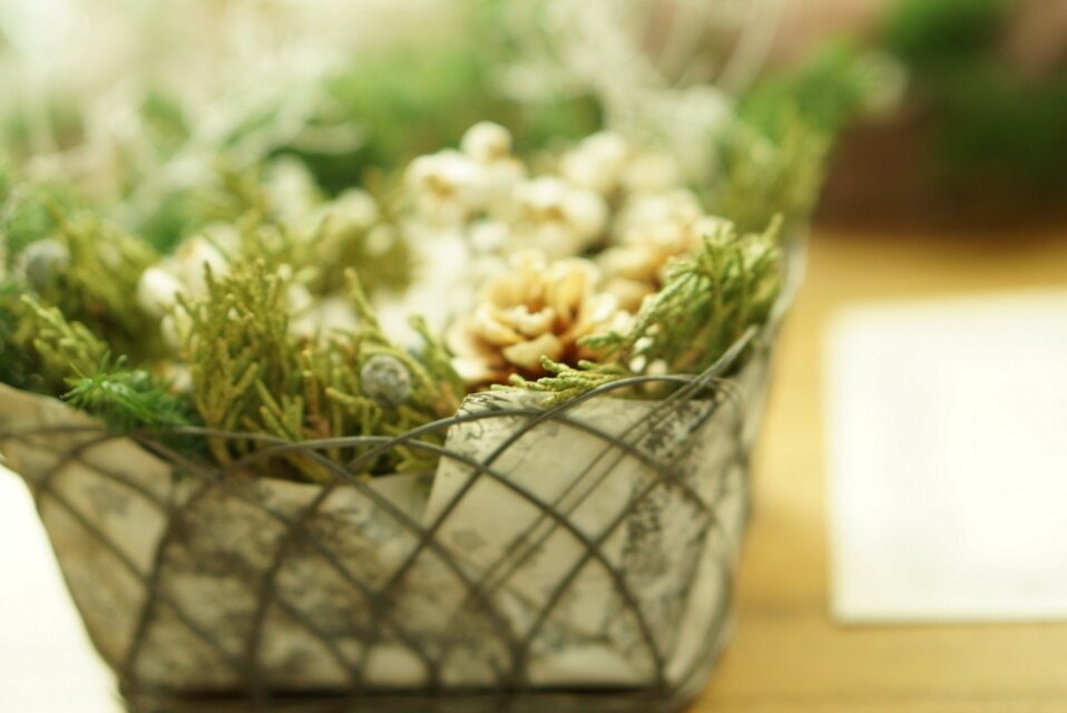 籠の中のgreenの世界