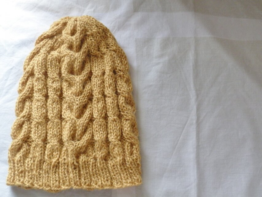 ☆受注制作　アルパカ100％のニットキャップ　アラン・パンプキン