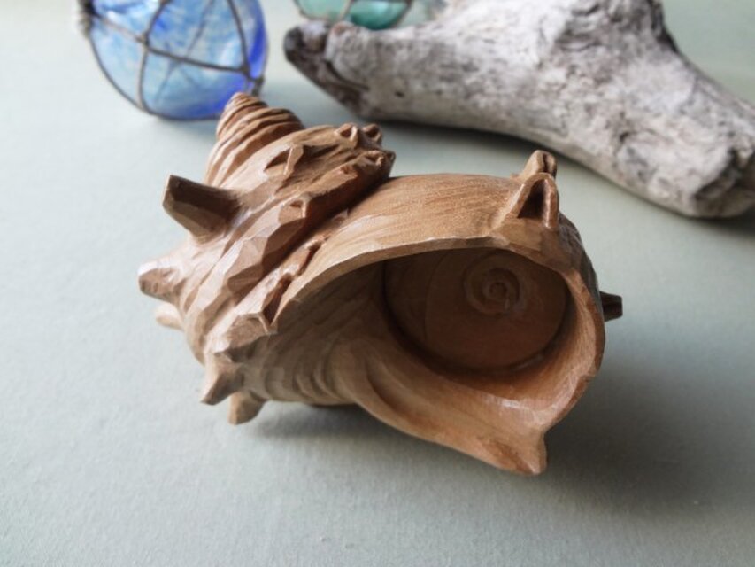 トゲのある造形美「サザエ」