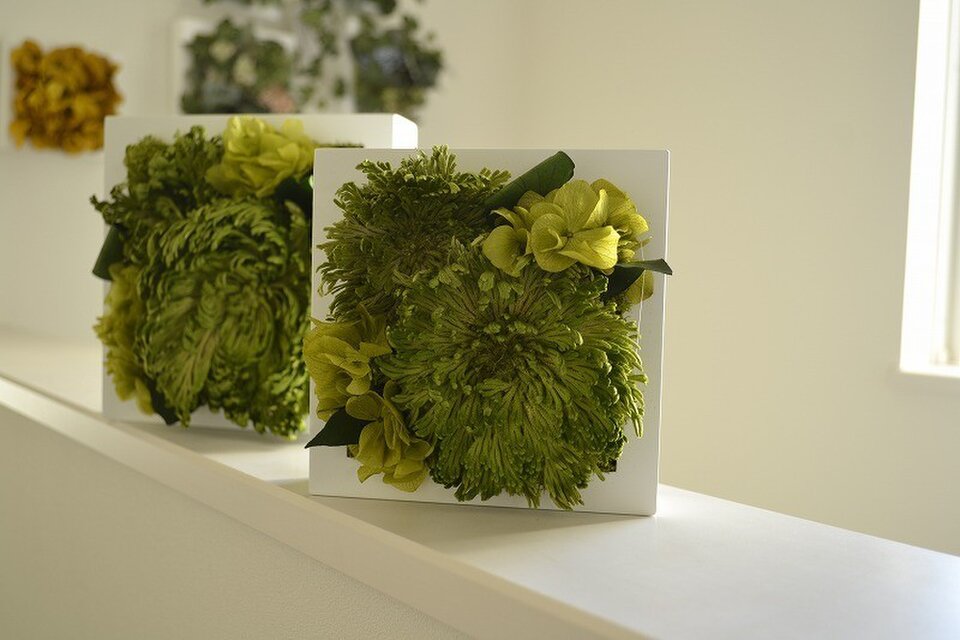 Interior green S（ヒバ）Wクリアケース入り