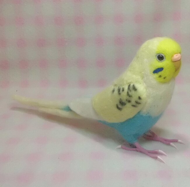 羊毛インコ ぬいぐるみ セキセイインコ ４色ハルクイン系 鼻の色変更 ...