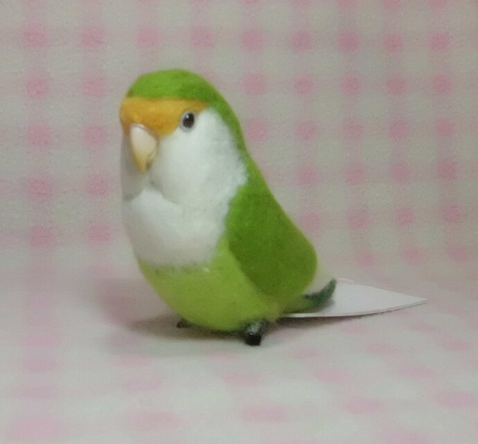 コザクラインコ ブルーチェリー系(クリップから足へ変更作成可）ライフサイズ 受注作成 羊毛フェルト うちの子オーダー可能 | iichi  日々の暮らしを心地よくするハンドメイドやアンティークのマーケットプレイス