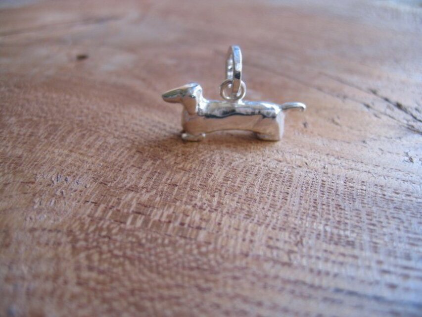 ダックスフント