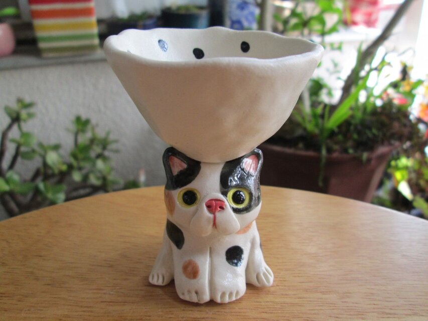 エキゾチックショートヘアのお猪口（小物入れ）