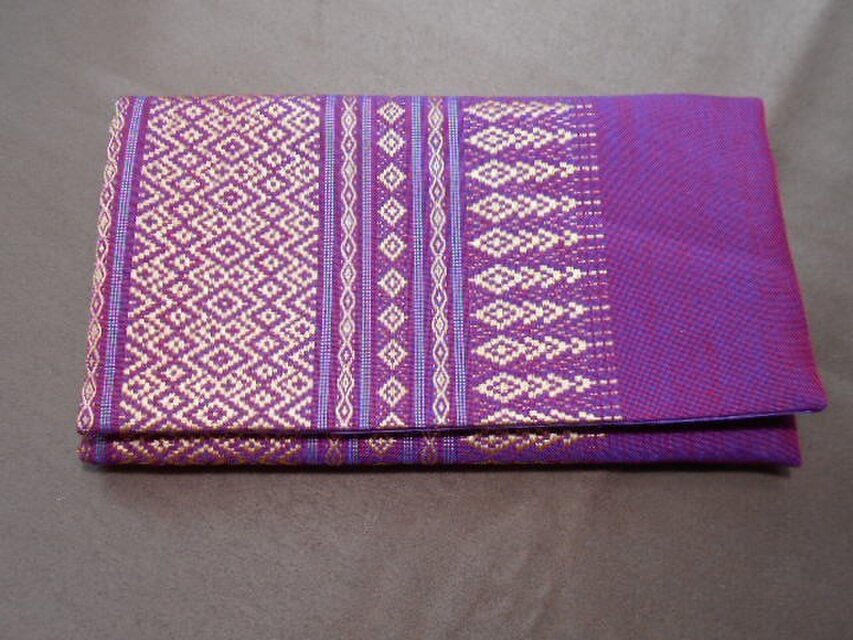 懐紙入れ*タイシルク玉虫