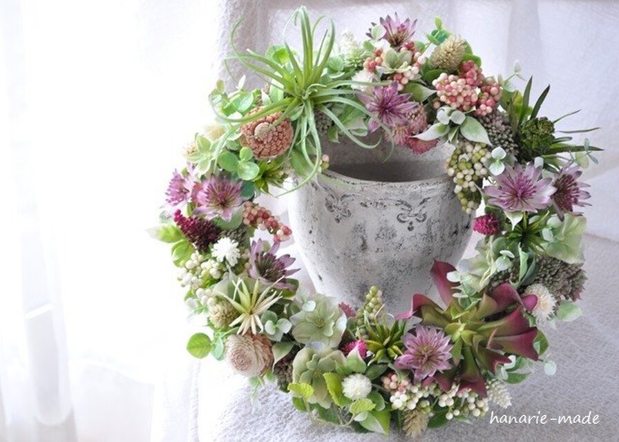 ワインカラーのアストランティとエアプランツ： wreath