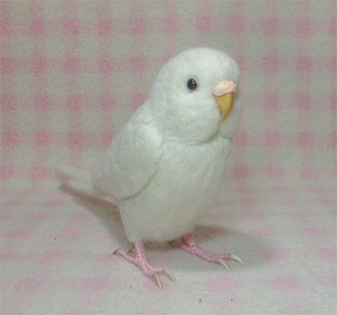 リアルサイズ♪ セキセイインコ アルビノ(濃い赤目）羊毛フェルト ☆選べる鼻の色 受注作成 羊毛インコ メモリアル | iichi  日々の暮らしを心地よくするハンドメイドやアンティークのマーケットプレイス