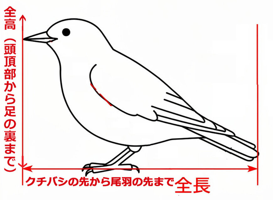 うちのこオーダー作成のご依頼方法(ご依頼手順説明書）☆このページ オーダー依頼分