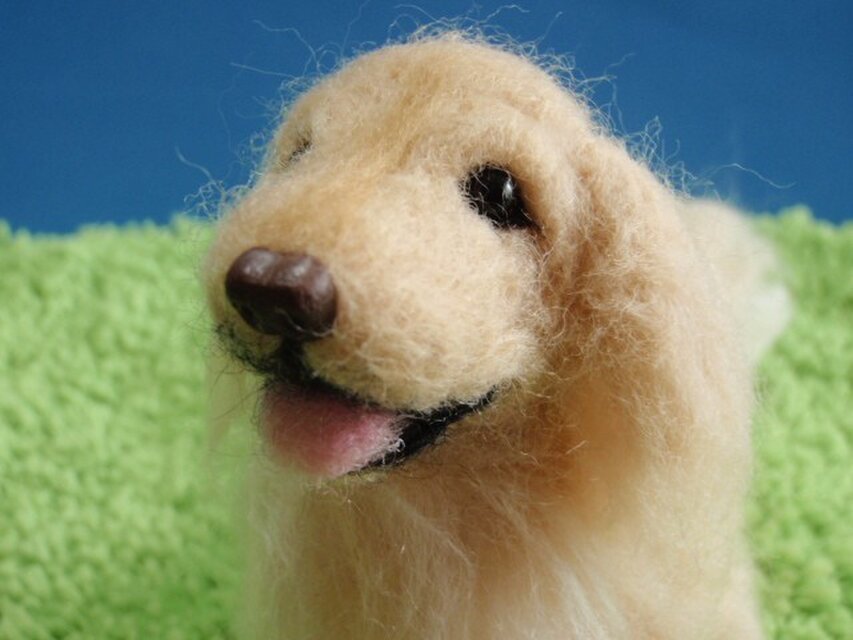 羊毛犬*ゴールデンリトリバー*お座り