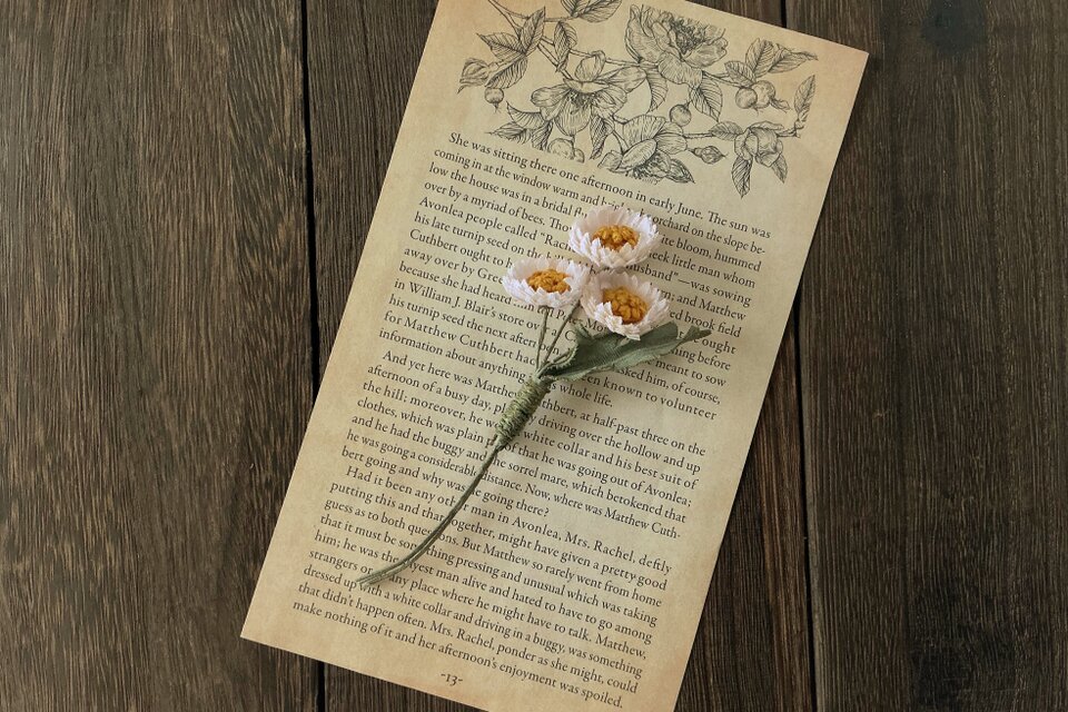 〈染め花〉秋色のmini daisyコサージュ(オフホワイト)