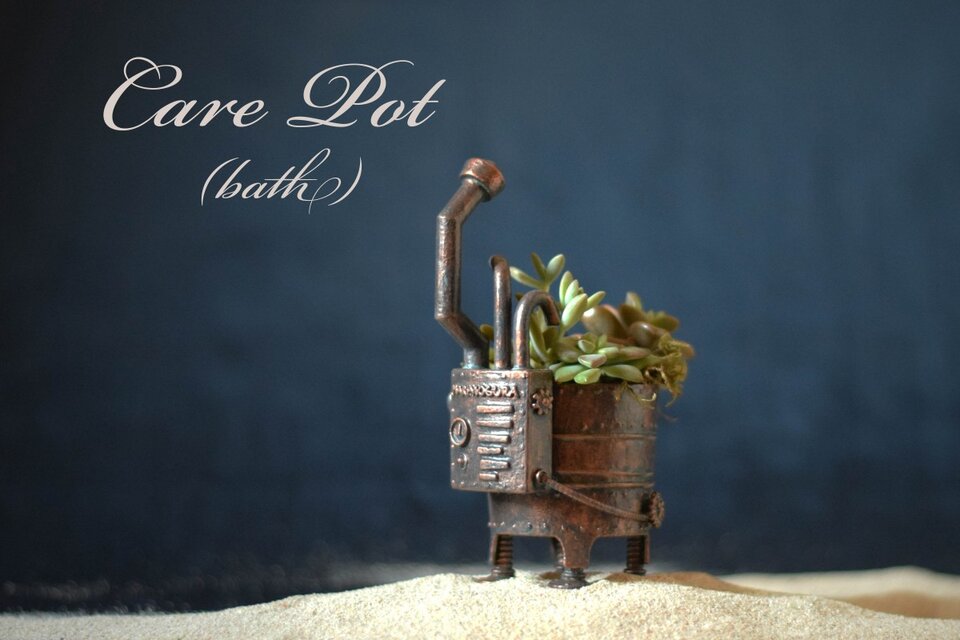 care pot(talk)