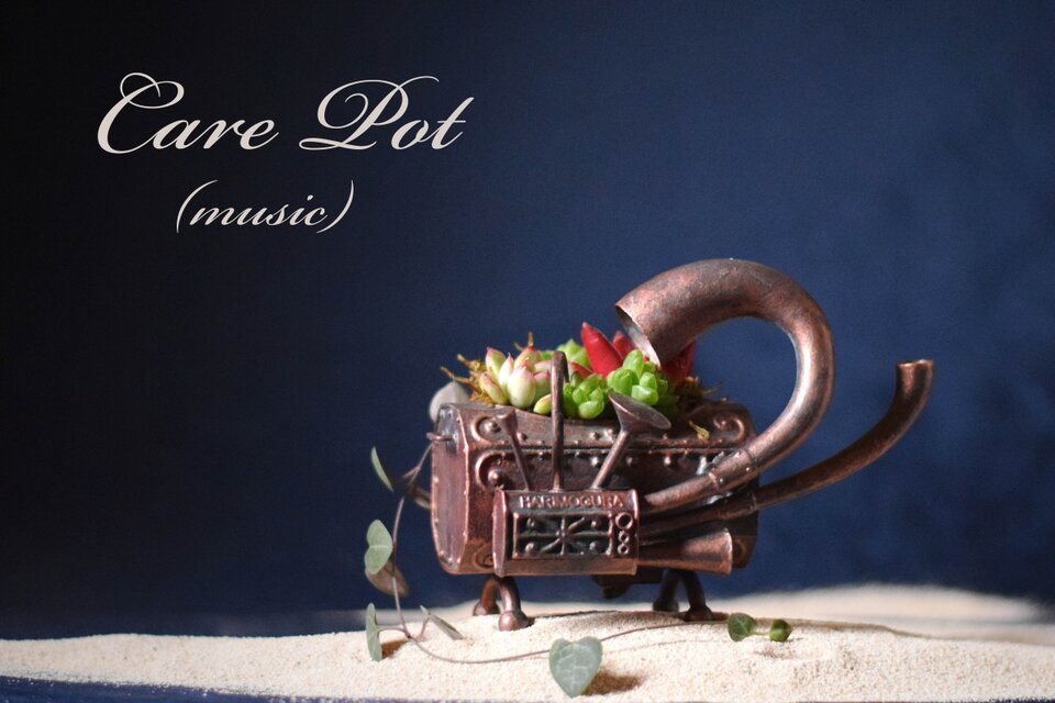 care pot(music)