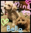 Belle❤︎Me