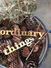 ORDINARY THINGS