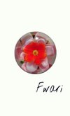 Fwari