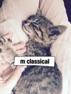 m classical