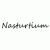 Nasturtium