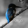 Petit Bleu Tokyo