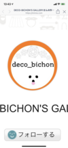 deco_bichon