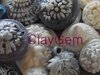 ClayGem