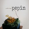 Pepin