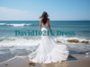 David1021k Dress