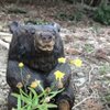 くま工房