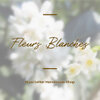 fleurs blanches