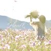 HaruE〜自然の美しさを愛でる〜お花アクセサリー