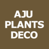 AJU PLANTS DECO