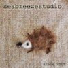 SeabreezeStudio