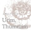 Urim,Thummim