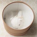 【再販】ちいさなぬいぐるみ　白猫すわりポーズ*銀色の蝶