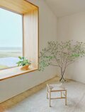ペーパーコードキッズチェアSHIKAKU-mini/ 子供用スツール